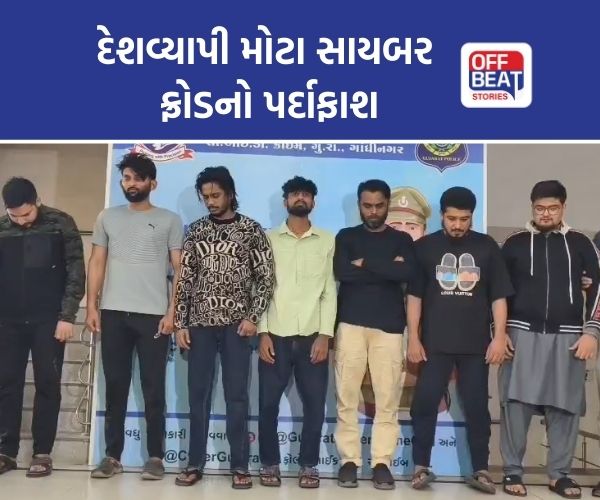 826 કરોડના સાયબર ફ્રોડનો ભાંડાફોડ