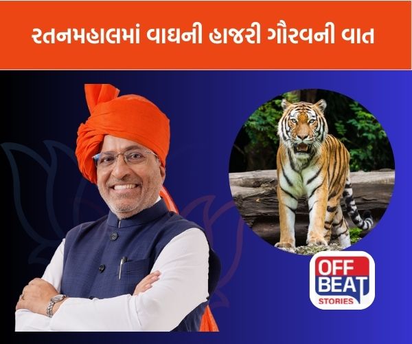 ગુજરાતમાં વાઘનું પુનરાગમન!