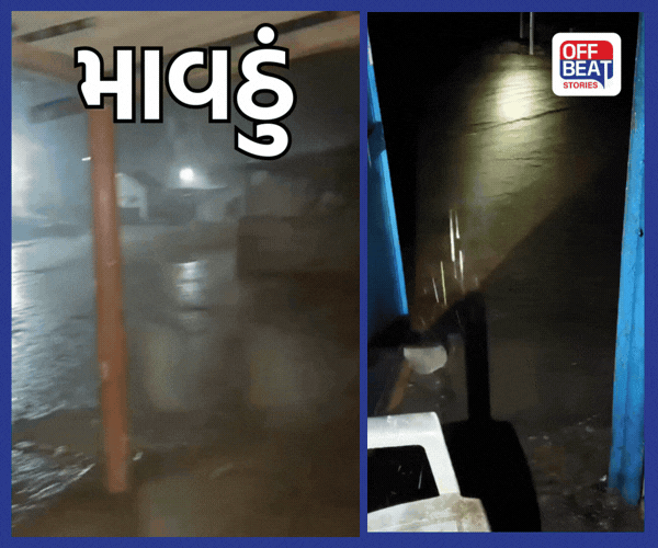 ભર શિયાળે ગુજરાતના આ વિસ્તારોમાં જામ્યું 'ચોમાસું'!