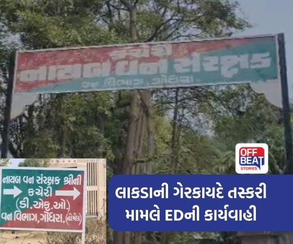 ખેરના લાકડાની ગેરકાયદે તસ્કરી મામલે EDની મોટી કાર્યવાહી