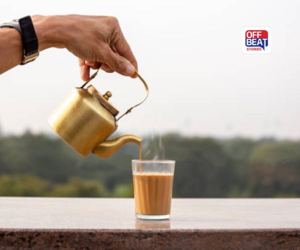 Winter Health Tips: શિયાળામાં ચાની ચુસ્કી લેતા પહેલાં આ ખાસ વાંચી લેજો, ક્યાંક તાજગી મેળવવામાં સ્વાસ્થ્ય ન બગડે!"