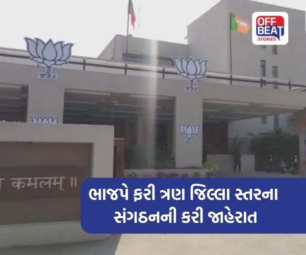 સ્થાનિક સ્વારાજ્યની ચૂંટણી પહેલા જિલ્લા સ્તરે ભાજપ એક્ટિવ મોડમાં!