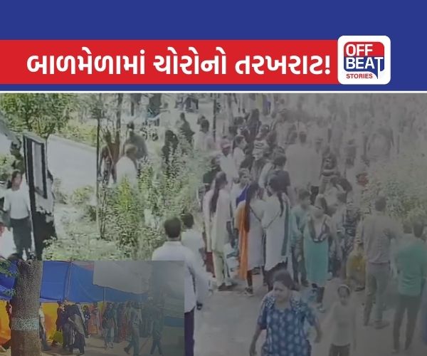 વડોદરાના કમાટીબાગ બાળમેળામાં ચોરો બન્યા બેફામ!