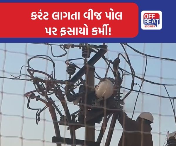 વડોદરામાં વીજ વિભાગની ગંભીર બેદરકારી!