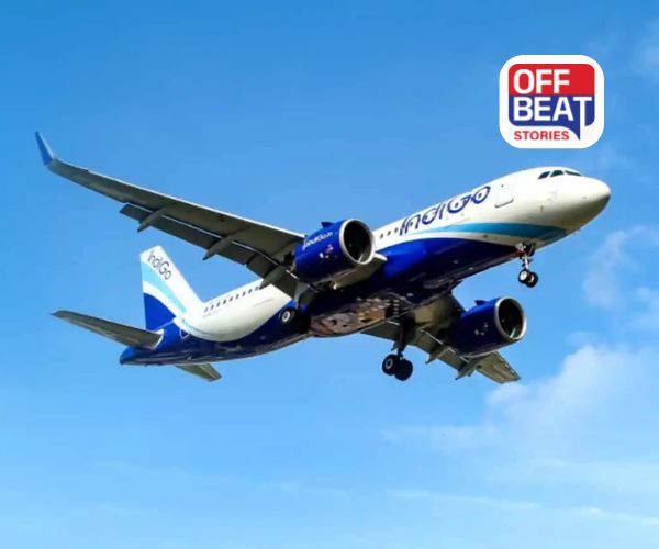 IndiGo Flight ને બોમ્બથી ઉડાવી દેવાની ધમકી