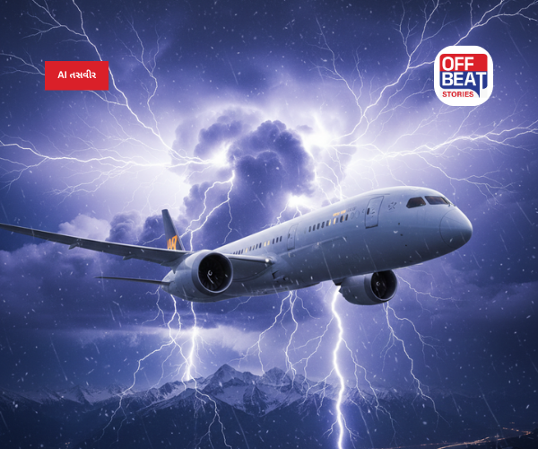 હવાઈ મુસાફરી દરમિયાન વિમાનમાં કેમ અનુભવાય છે આંચકા?