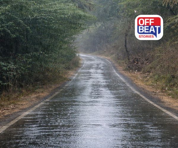 મહીસાગર જિલ્લામાં ભર શિયાળે કમોસમી વરસાદ