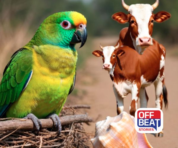 તમને મળી રહ્યા છે આ શુભ સંકેતો?