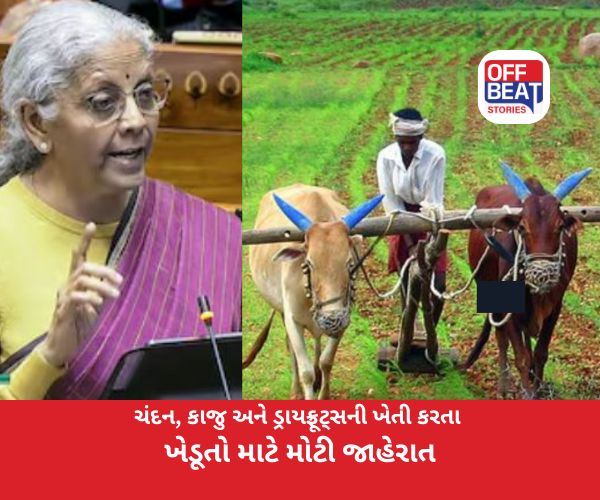 ચંદન, કાજુ અને ડ્રાયફ્રૂટ્સની ખેતી કરતા ખેડૂતો માટે મોટી જાહેરાત