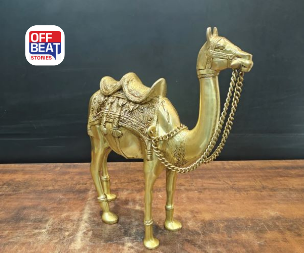 ઘરમાં ઊંટની પ્રતિમા સ્થાપિત કરવાથી ચમકી શકે છે તમારું નસીબ