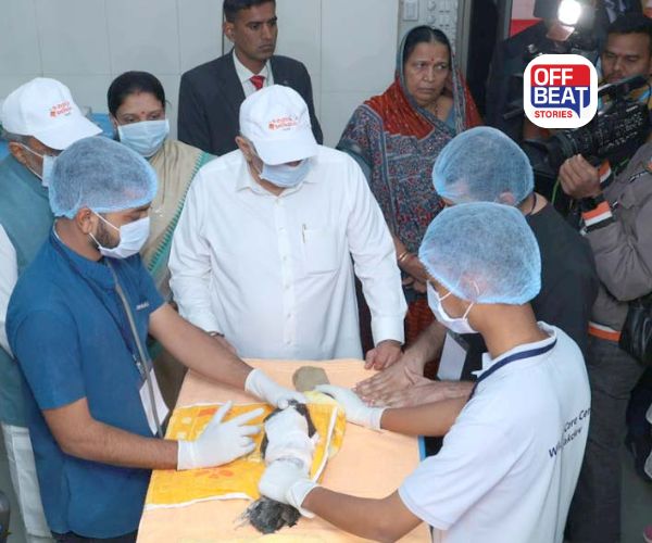 ગુજરાતમાં સરકારનું 'કરુણા અભિયાન'