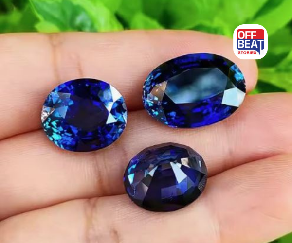 નીલમ રત્ન ધારણ કર્યા પછી ભૂલથી પણ ન કરો આ કામ