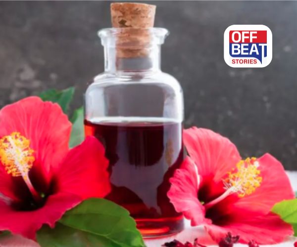 જાસૂદના લાલ ફૂલથી બનાવો અજાયબી તેલ