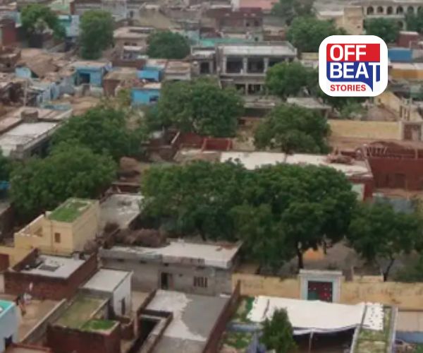 શિક્ષકોની ફેક્ટરી કહેવાય છે આ અનોખું ગુરુઓનું ગામ!