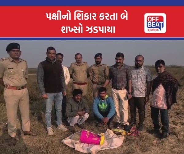 દ્વારકામાં કુંજ પક્ષીનો શિકાર કરતા બે શખ્સો ઝડપાયા