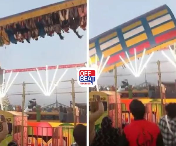 1 કરોડનું વળતર અને...