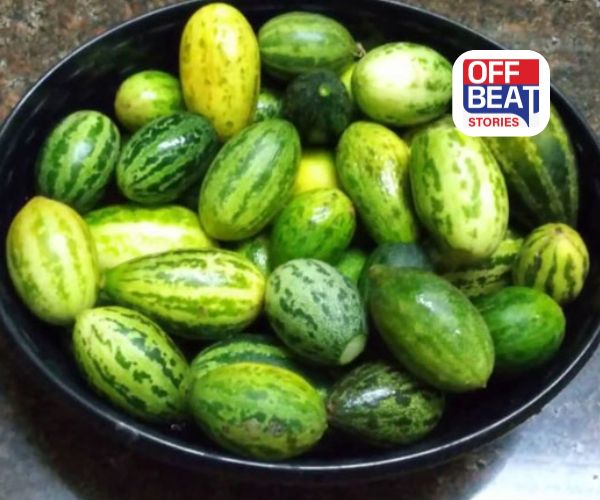 કચરી ખાઓ અને રોગોને કહો ગુડબાય!