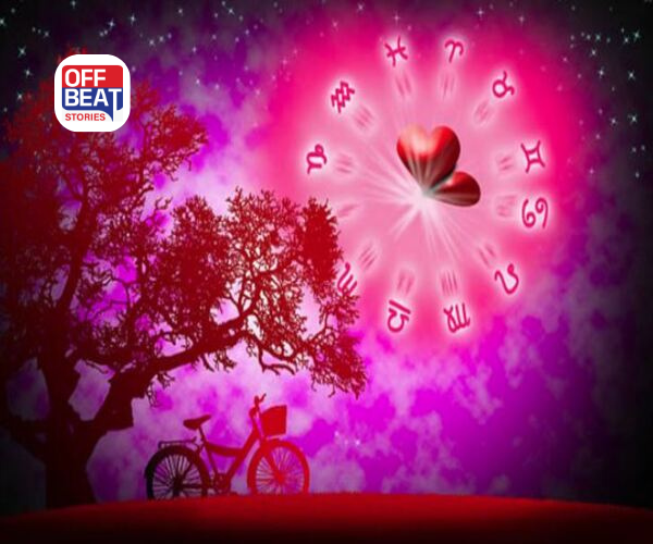 રોઝ ડેથી વેલેન્ટાઈન ડે સુધી પ્રેમનો જાદુ છવાશે