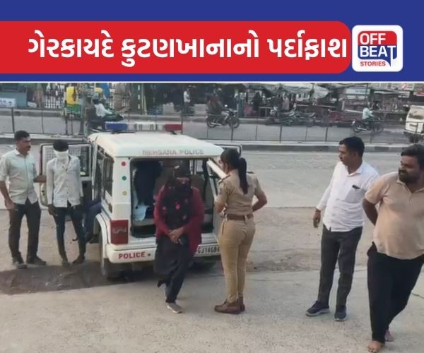 બહુચરાજીમાં સ્પાની આડમાં ચાલતા કુટણખાનાનો પર્દાફાશ