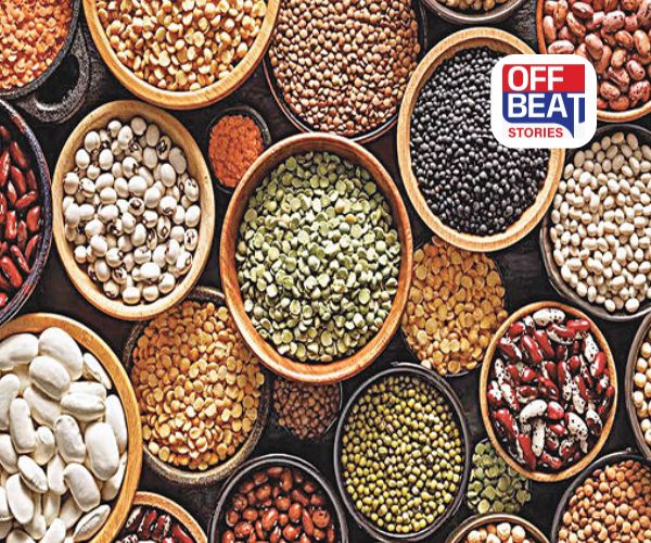 ગુજરાતમાં કઠોળ ક્રાંતિ!