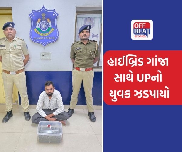 વાપીમાં 30.94 લાખના હાઈબ્રિડ ગાંજા સાથે યુપીનો યુવક ઝડપાયો