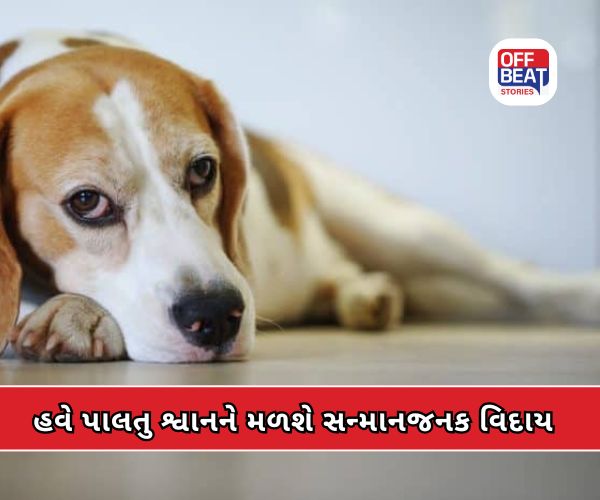 અમદાવાદમાં પાલતુ શ્વાન માટે ભારતનું પ્રથમ CNG સ્મશાન કાર્યરત