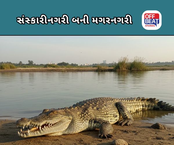 વિશ્વામિત્રી નદીએ વધાર્યું ગૌરવ