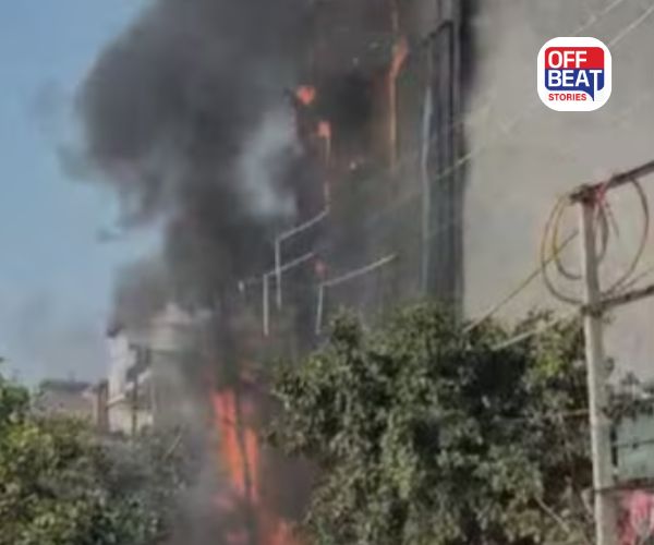 મથુરામાં ઓપનિંગના દિવસે હોટલમાં લાગી ભીષણ આગ