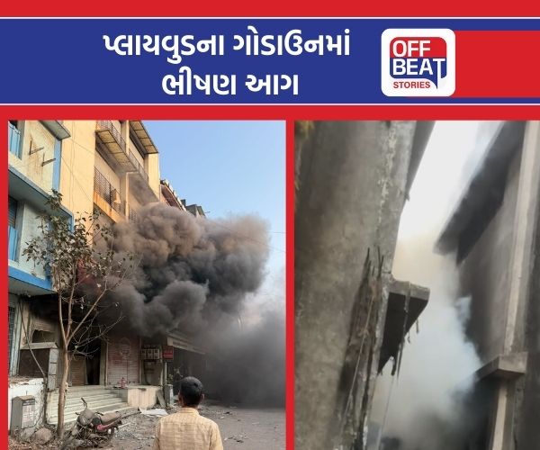સુરતનાં નવજીવન ઇન્ડસ્ટ્રીયલ વિસ્તારમાં ભીષણ આગ