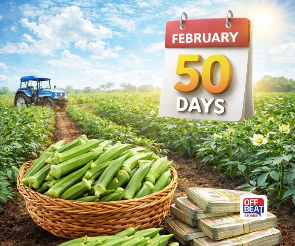 ફેબ્રુઆરીમાં ખેતર ખાલી છે?