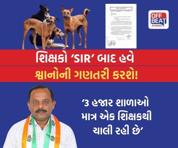 રખડતા શ્વાનની ગણતરી કરવા શિક્ષકોને કરાયો પરિપત્ર!