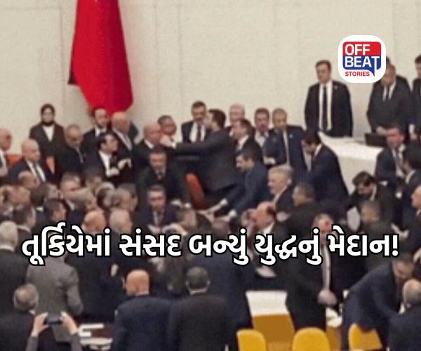તૂર્કિયેની સંસદમાં સાંસદો સામ-સામે