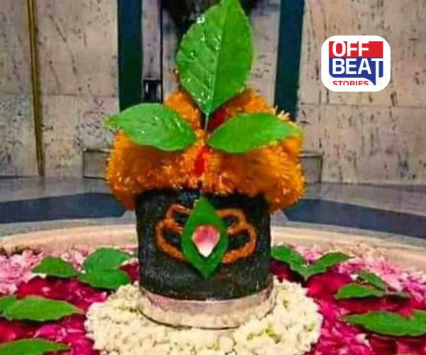 શિવલિંગ પર ચઢાવેલા બીલીપત્ર છે શરીર માટે અમૃત!