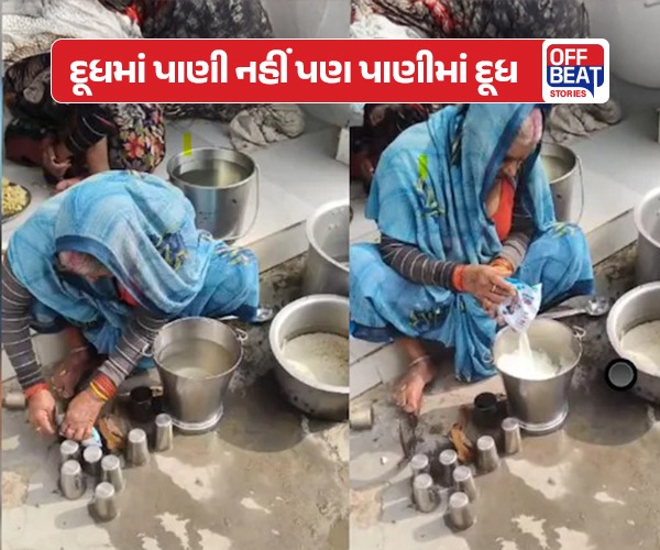 મિડ-ડે મિલનો શરમજનક વિડીયો