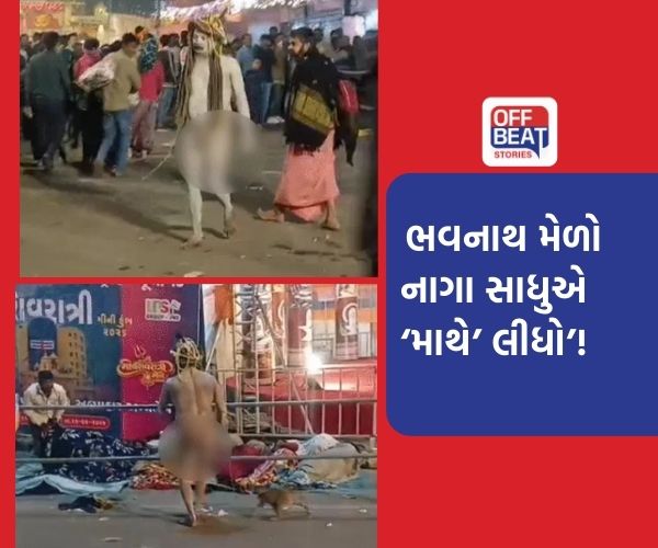 જૂનાગઢમાં નાગા સાધુનો મોડી રાત્રે 'ત્રાસનો તાંડવ'