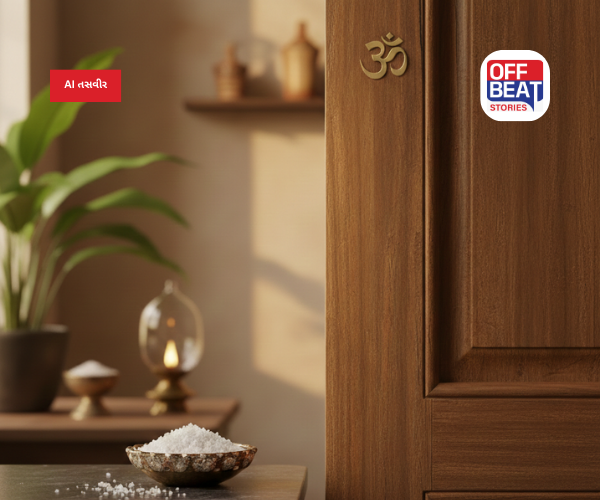 સાવધાન! શું તમે પણ બાથરૂમનો દરવાજો ખુલ્લો રાખવાની ભૂલ કરો છો?