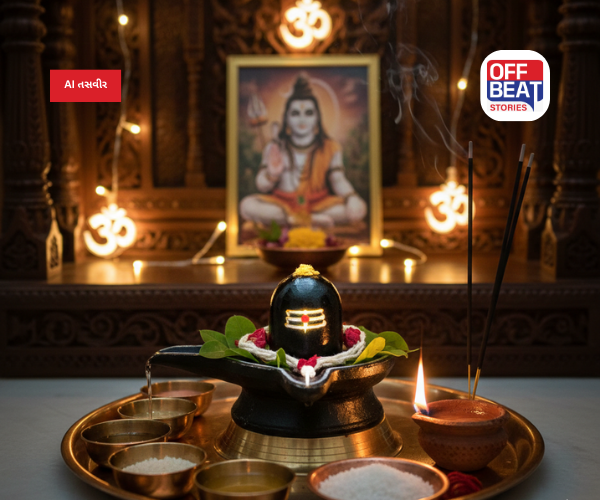 મહાશિવરાત્રી પર ઘરમાં શિવલિંગ સ્થાપિત કરતા પહેલા જાણો વાસ્તુના આ નિયમ