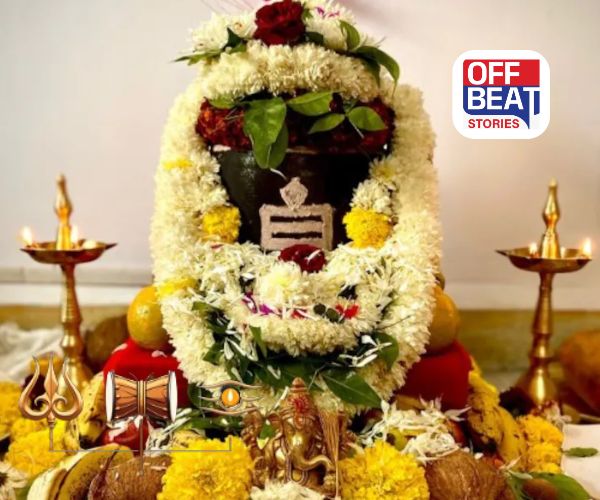 મહાશિવરાત્રિ પર કયા શિવલિંગની કરશો પૂજા?