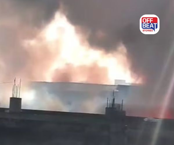 રાજસ્થાન ભીવાડીમાં કેમિકલ ફેક્ટરીમાં ભીષણ આગ