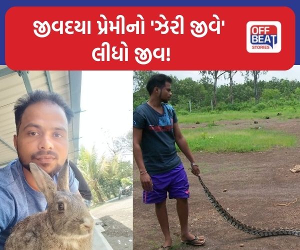 વલસાડના જીવદયા પ્રેમી નિરવનું મોત