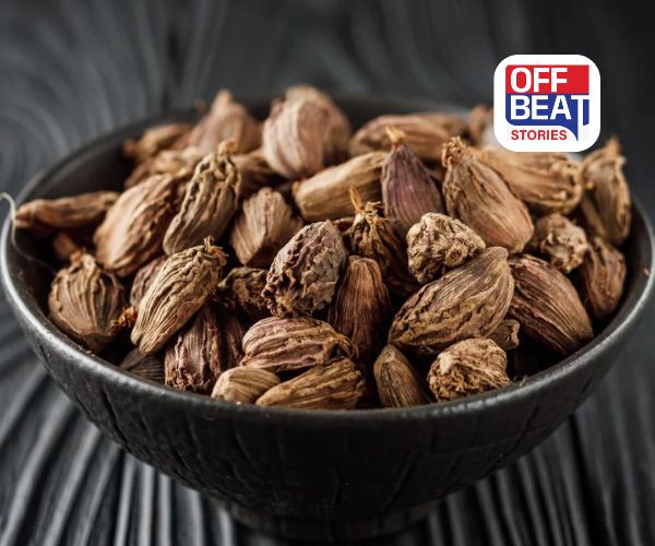 કાળી એલચી છે સ્વાસ્થ્યનો ખજાનો!