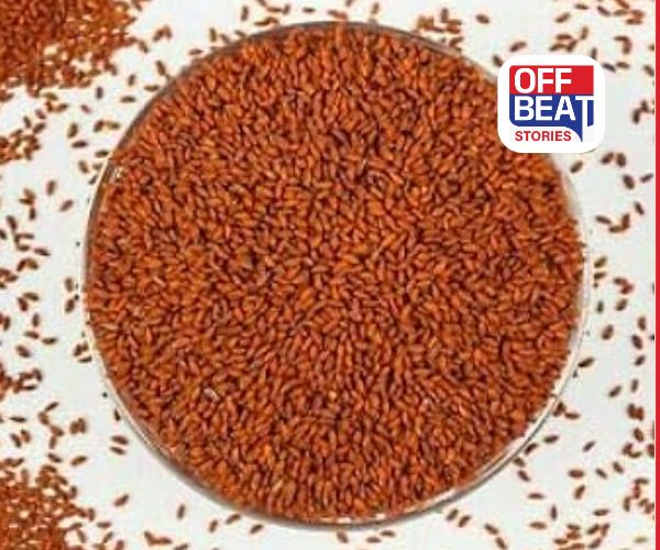 એક ચમચી હલીમના બીજથી લોહીની કમી દૂર!