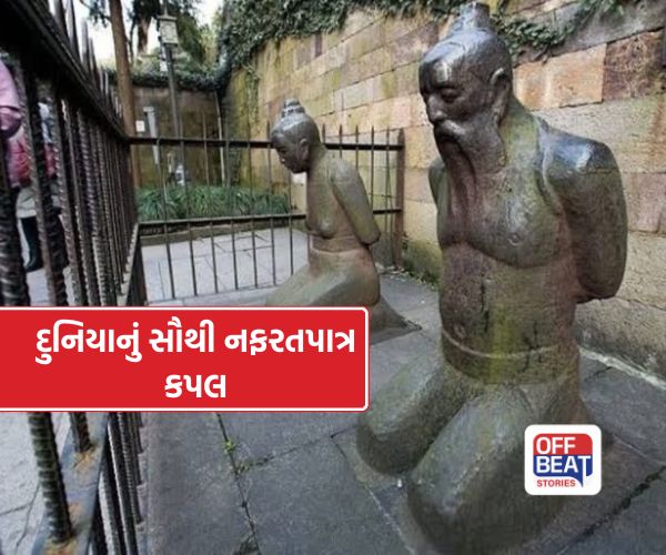 'ગદ્દાર' કપલ