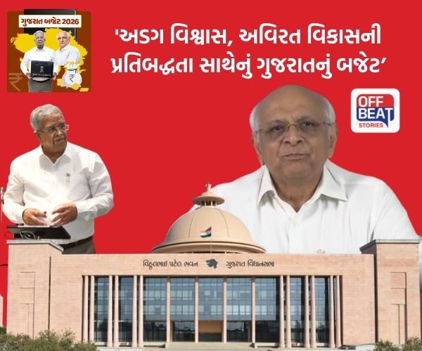 'બજેટના કુલ ખર્ચના 65 ટકા વિકાસલક્ષી ખર્ચ માટે ફાળવ્યા છે'