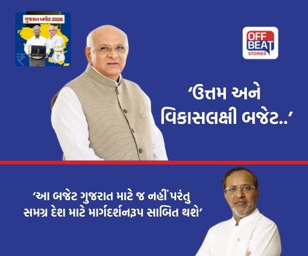 'જનસુખાકારીને ધ્યાનમાં રાખીને ઉત્તમ અને વિકાસલક્ષી બજેટ..'