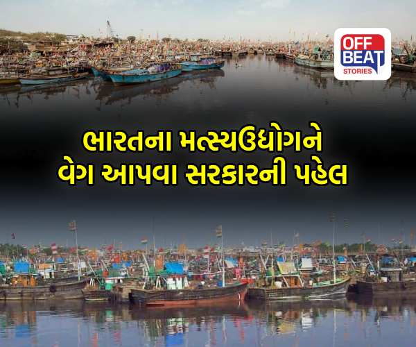 ગુજરાતમાં એક્સેસ પાસ દ્વારા માછીમારો સશક્ત બનશે