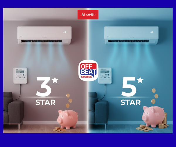 3 સ્ટાર કે 5 સ્ટાર AC?