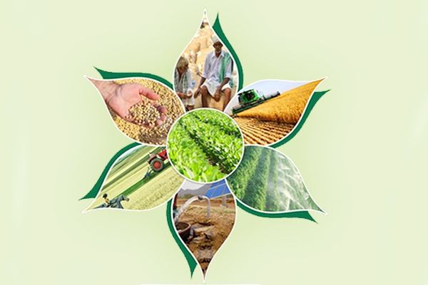 Kisan Vikas Patra (KVP) સરકારી ગેરંટી સાથે પૈસા ડબલ કરવાની સુવર્ણ તક