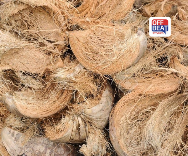 નાળિયેરની છાલને કચરો સમજી ફેંકવાની ભૂલ ન કરતા!