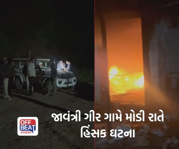 જાવંત્રી ગીર ગામમાં 54 વીઘા જમીન માટે લોહીયાળ જંગ!